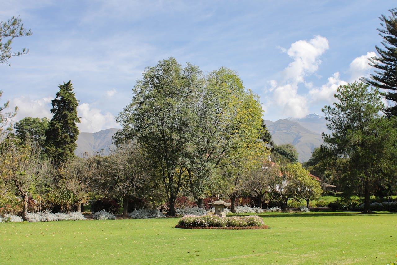 Tranquil park scene in Cochabamba, Bolivia showcasing lush greenery and distant mountains.
