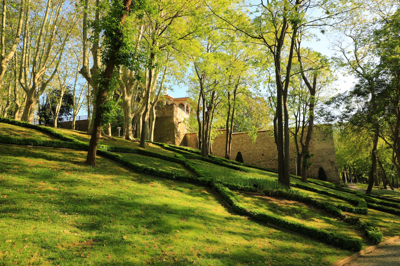 Sunlit park with lush greenery and historic wall in İstanbul, Türkiye.